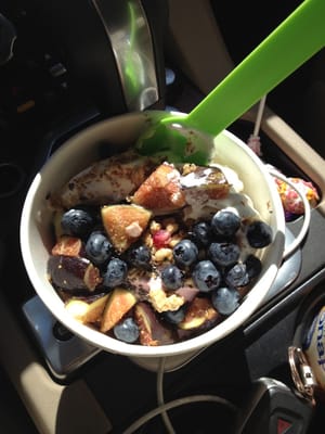 Go Greek Yogurt by null