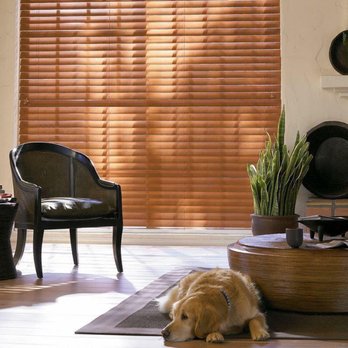 Expressions Window Fashions - Shutters Near Me