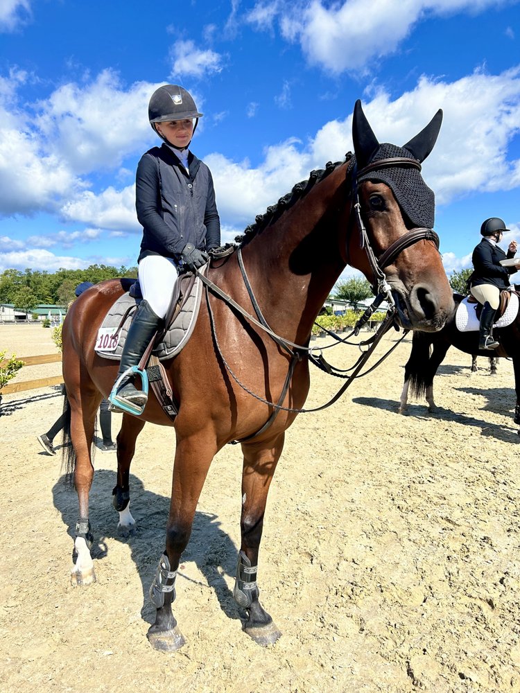 RLM Equestrian Logo