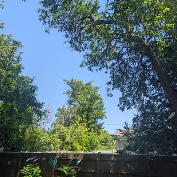 R & J Ozuna's Tree Service - Limb gone! - Tree Services Near Me R & J Ozuna's Tree Service - Limb gone! - Tree Services Near Me