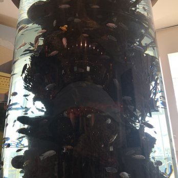 La Palmera - Shopping Centers Near Me - Corpus Christi, Texas