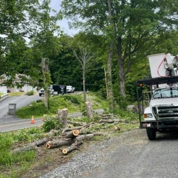 Canopy Tree Service - Tree Services Near Me