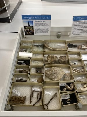 Alexandria Archaeology Museum by null