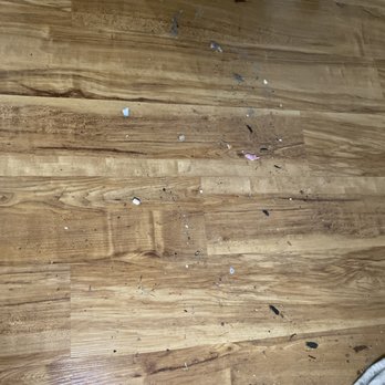 White Lilac House Cleaning Services - Home Cleaning Near Me White Lilac House Cleaning Services - Home Cleaning Near Me