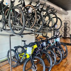 Freehub Bicycles - We carry a wide array of women's bikes.
