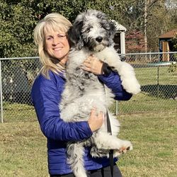 Man's Best Friend - Shannon and Oliver at the puppy evaluation.