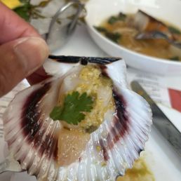 Scallops