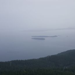 Even though it's foggy it's still a beautiful view going up to Mount Constitution.