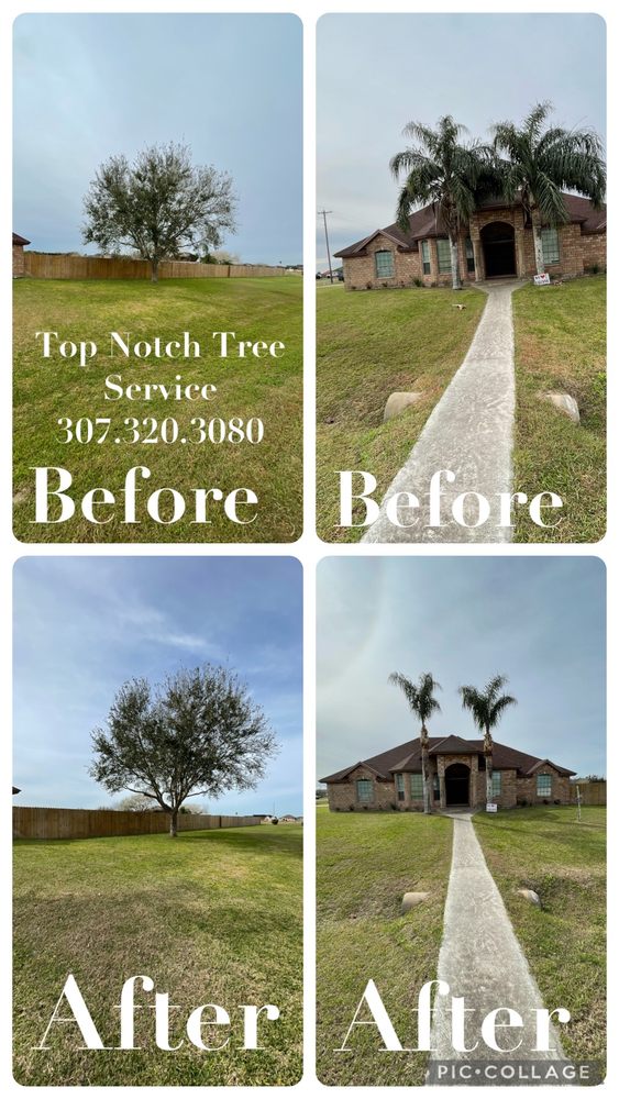 TOP NOTCH TREE SERVICES 12 Photos Los Fresnos, Texas Tree