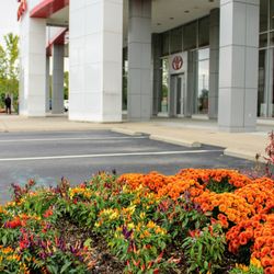Hank Metzger Landscaping - Fall color