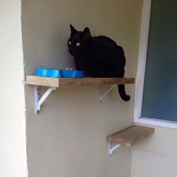 Aristocat Enclosures - My kitty on his little cat shelf, eating his breakfast where his brother dog cannot reach n steal his food! - Pet Services Near Me Aristocat Enclosures - My kitty on his little cat shelf, eating his breakfast where his brother dog cannot reach n steal his food! - Pet Services Near Me