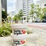 PopUp Bagels