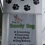 Photo of The Dandy Dog