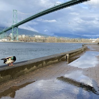 Stanley Park - Lions Gate Bridge (north side of park) - Parks Near Me - Vancouver, British Columbia