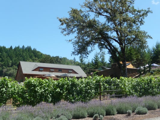 Reustle-Prayer Rock Vineyards by null