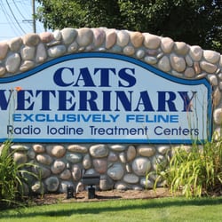 Cats Veterinary
