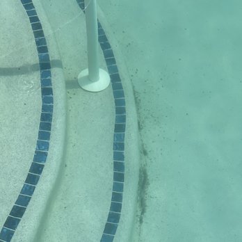 Berkshire Lakeway Apartments - More pool filth from 7/1/23. Manger refuses to walk pool with me to show her this health concern. - Apartments Near Me - Lakeway, Texas Berkshire Lakeway Apartments - More pool filth from 7/1/23. Manger refuses to walk pool with me to show her this health concern. - Apartments Near Me - Lakeway, Texas
