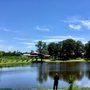 Rocky Top Winery
