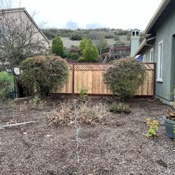 iGreen Landscaping Company