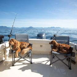 Tofino Ocean Adventures