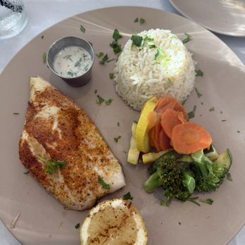 Affendi Grill - Grilled Snapper - Middle Eastern Near Me - Pompano Beach, Florida Affendi Grill - Grilled Snapper - Middle Eastern Near Me - Pompano Beach, Florida