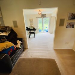 Zoom Dry Carpet Cleaning