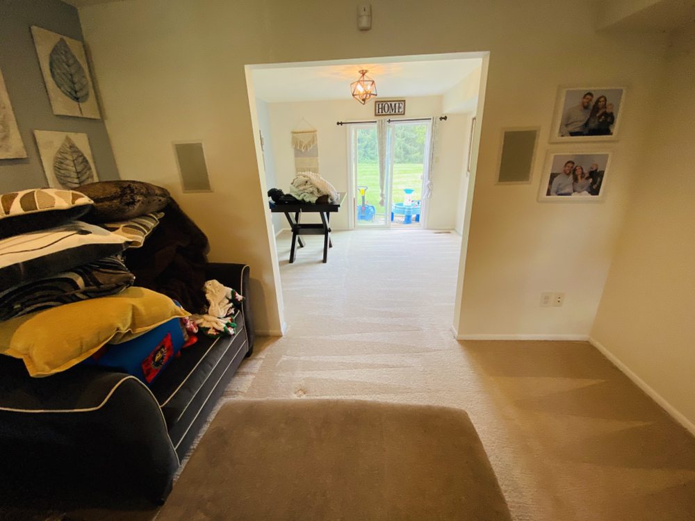 ZOOM DRY CARPET CLEANING Updated September 2024 Horsham