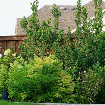 Rodriguez Landscaping - Landscaping Near Me