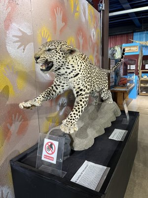 Alaska Museum of Science and Nature by null
