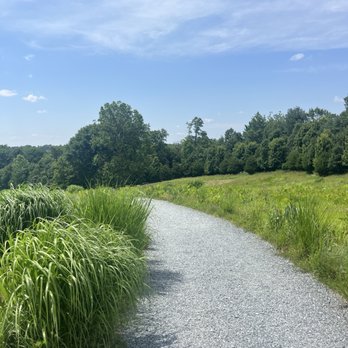 Glenstone - Art Museums Near Me - Potomac, Maryland
