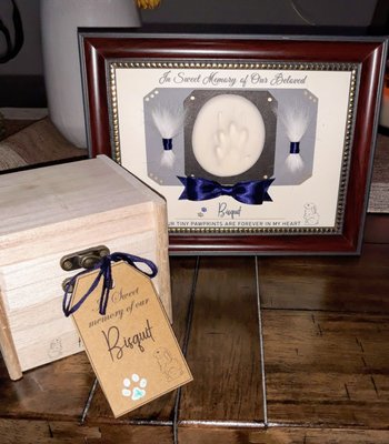 1st call pet cremation