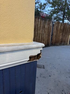 Elitch Gardens by null