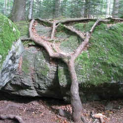Tierfreigelände am Hans-Eisenmann-Haus