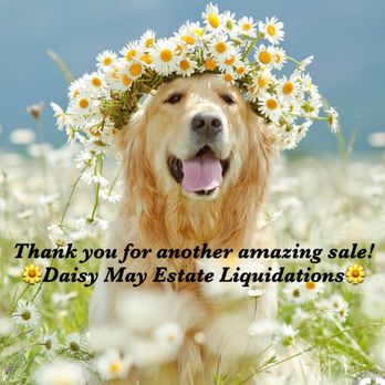 Daisy May Estate Liquidations - Estate Liquidation Near Me - Elmira, New York Daisy May Estate Liquidations - Estate Liquidation Near Me - Elmira, New York