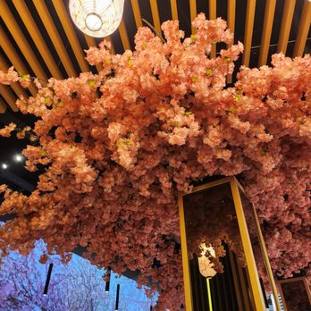 Maki Ramen - Beautiful ceiling - Ramen Near Me - Edinburgh, EDH Maki Ramen - Beautiful ceiling - Ramen Near Me - Edinburgh, EDH
