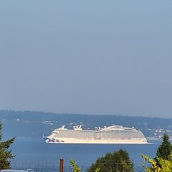 Marrowstone Vineyards - Cruise ship sailing past the yard.