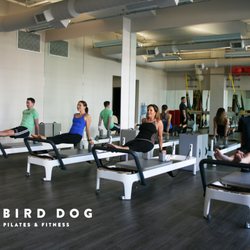 Bird Dog Pilates & Fitness - Reformer Classes max out at 4 to provide a more individualized, personalized experience.