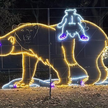 Prairie Lights - Arts & Entertainment Near Me - Grand Prairie, Texas