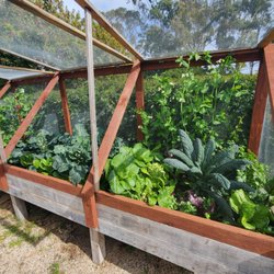 Harvest to Home