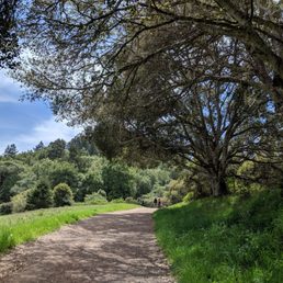start of the hike