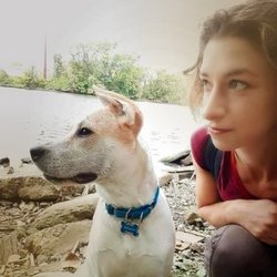 Jessica Anne Canine Behaviorist