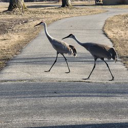 Ottawa Lake Campground