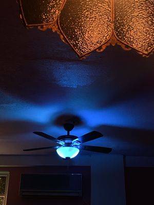 Boccis Peace and Pasta by null