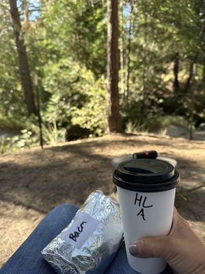 Alpaca Coffee & Tea by null