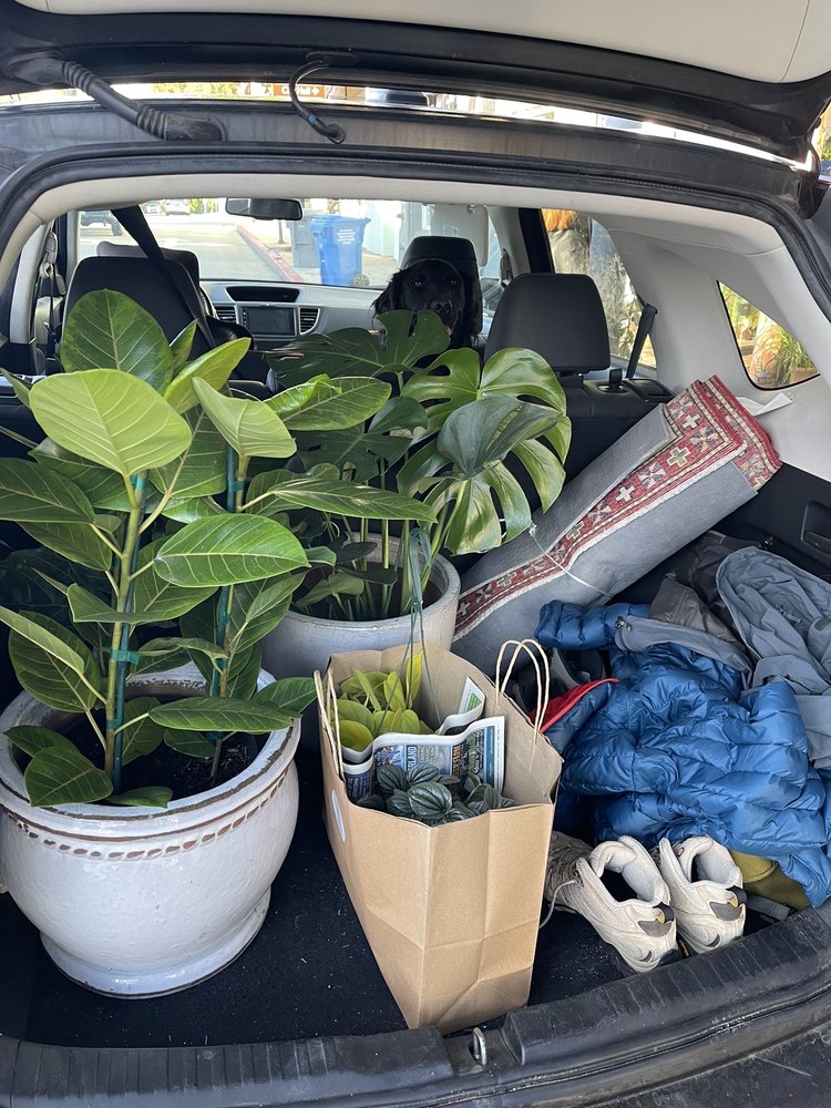 OLD WORLD RUGS Updated September 2024 26 Photos & 26 Reviews 1021 Broad St, San Luis