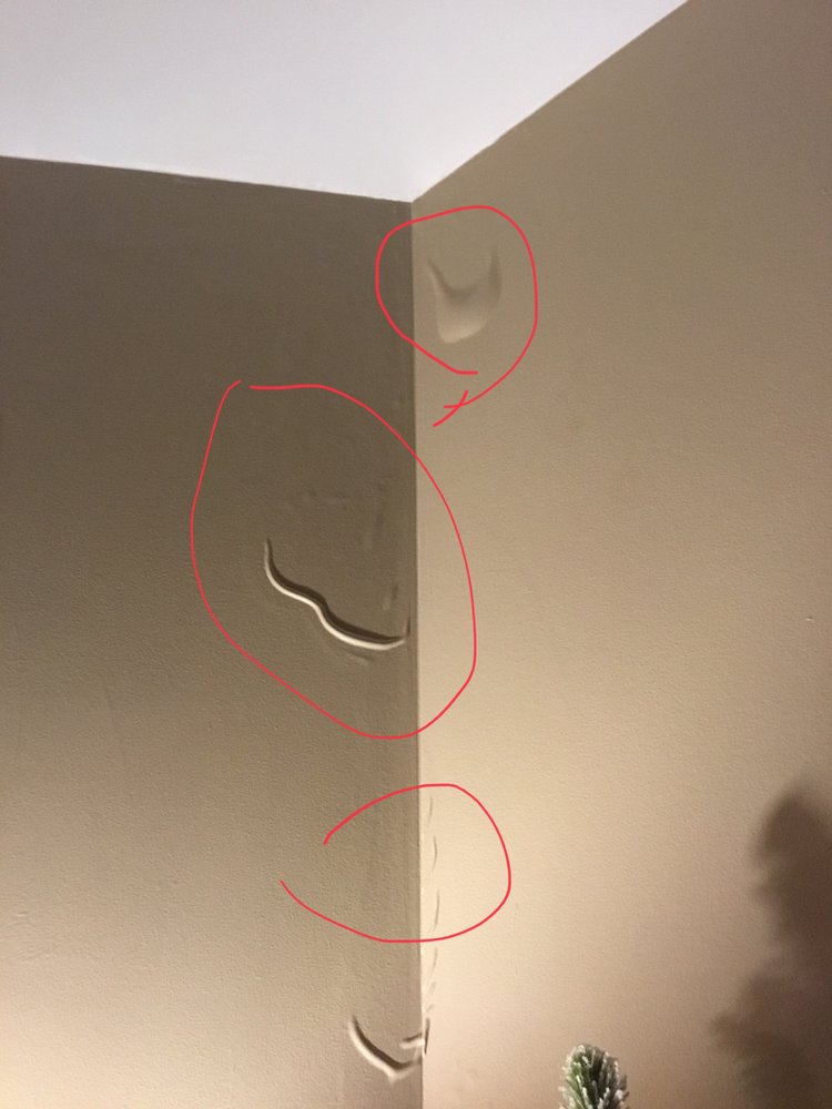 Slide of Low Country Quality Roofing