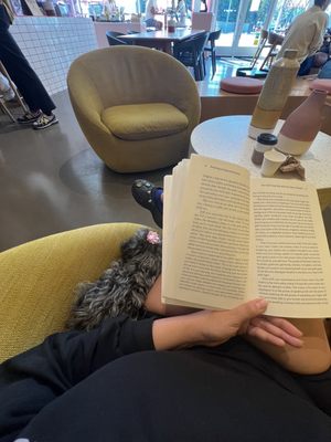 Menu photo 8 Liberation Coffee House Los Angeles, CA Menu photo 8 Liberation Coffee House Los Angeles, CA