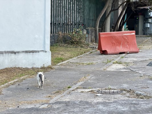 Papalote Museo del Niño by null