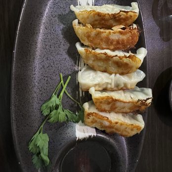 Kanpachi Sushi - Pork dumpling - Japanese Near Me - Edison, New Jersey Kanpachi Sushi - Pork dumpling - Japanese Near Me - Edison, New Jersey