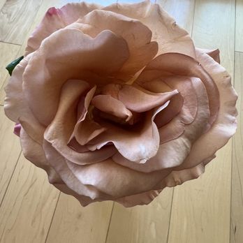 Rosette Florist - Florists Near Me - West Vancouver, British Columbia Rosette Florist - Florists Near Me - West Vancouver, British Columbia